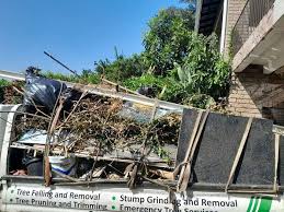 Best Shed Removal  in Durand, WI